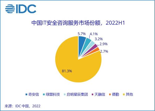 IDC 2022上半年中國網絡安全服務市場規模同比增長11% 互聯網安全服務成新增長極